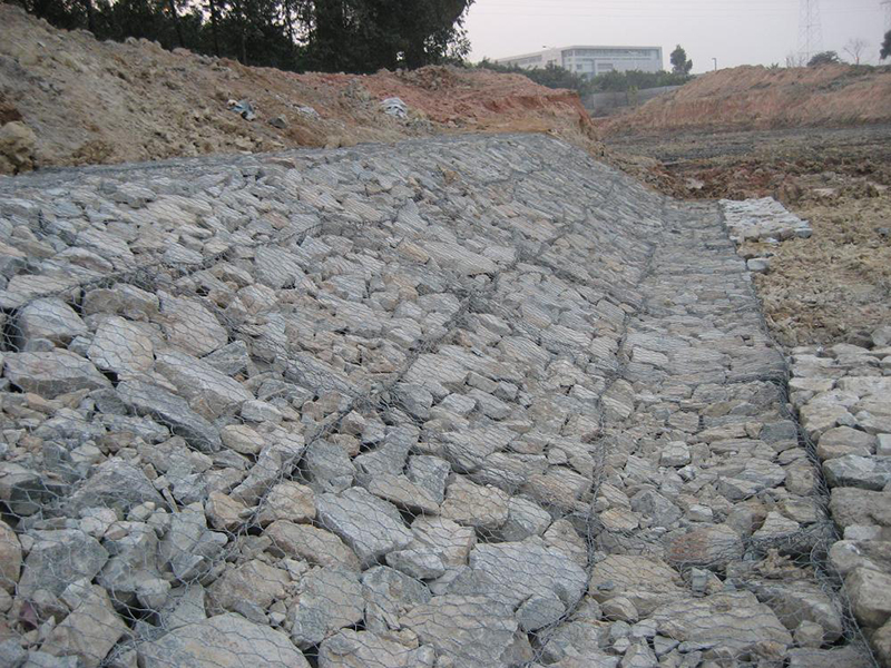 雙隔板雷諾護墊 雙隔板雷諾護墊