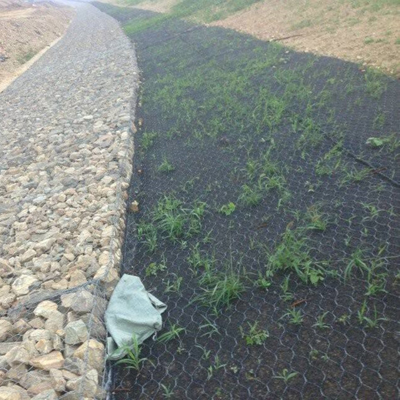 植草加筋麥克墊