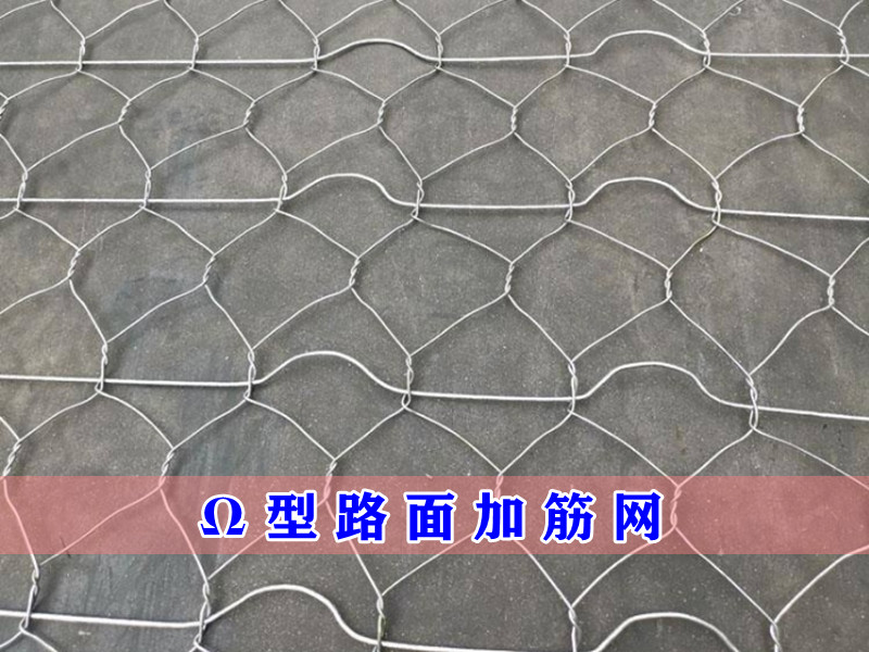 Ω型路面加筋網(wǎng) Ω型路面加筋網(wǎng)